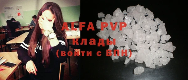 ГАЛЛЮЦИНОГЕННЫЕ ГРИБЫ Вязьма