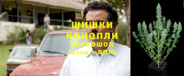 ГАЛЛЮЦИНОГЕННЫЕ ГРИБЫ Вязьма