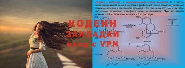 сатива Вяземский