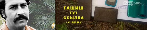сатива Вяземский