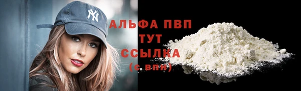 ГАЛЛЮЦИНОГЕННЫЕ ГРИБЫ Вязьма