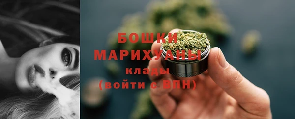 сатива Вяземский