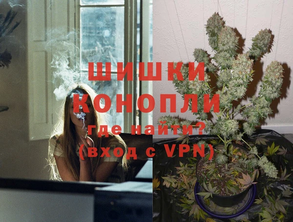 ГАЛЛЮЦИНОГЕННЫЕ ГРИБЫ Вязьма