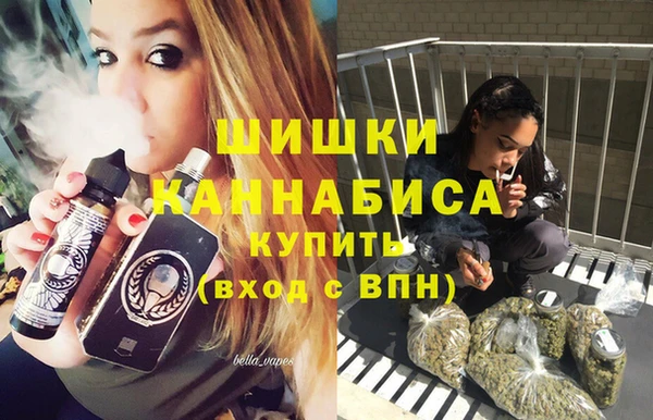 сатива Вяземский